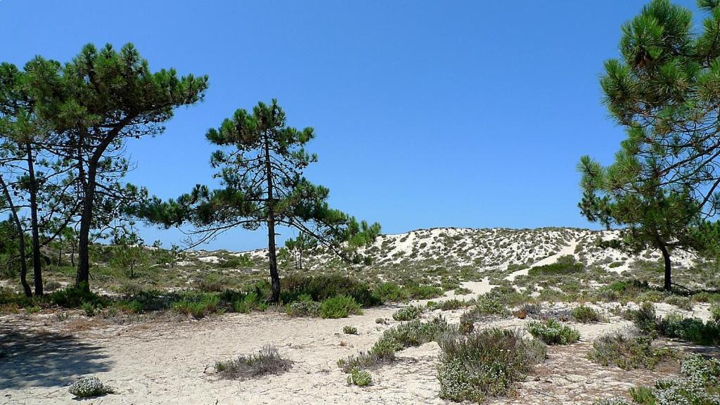 Comporta Beach House Esterno foto
